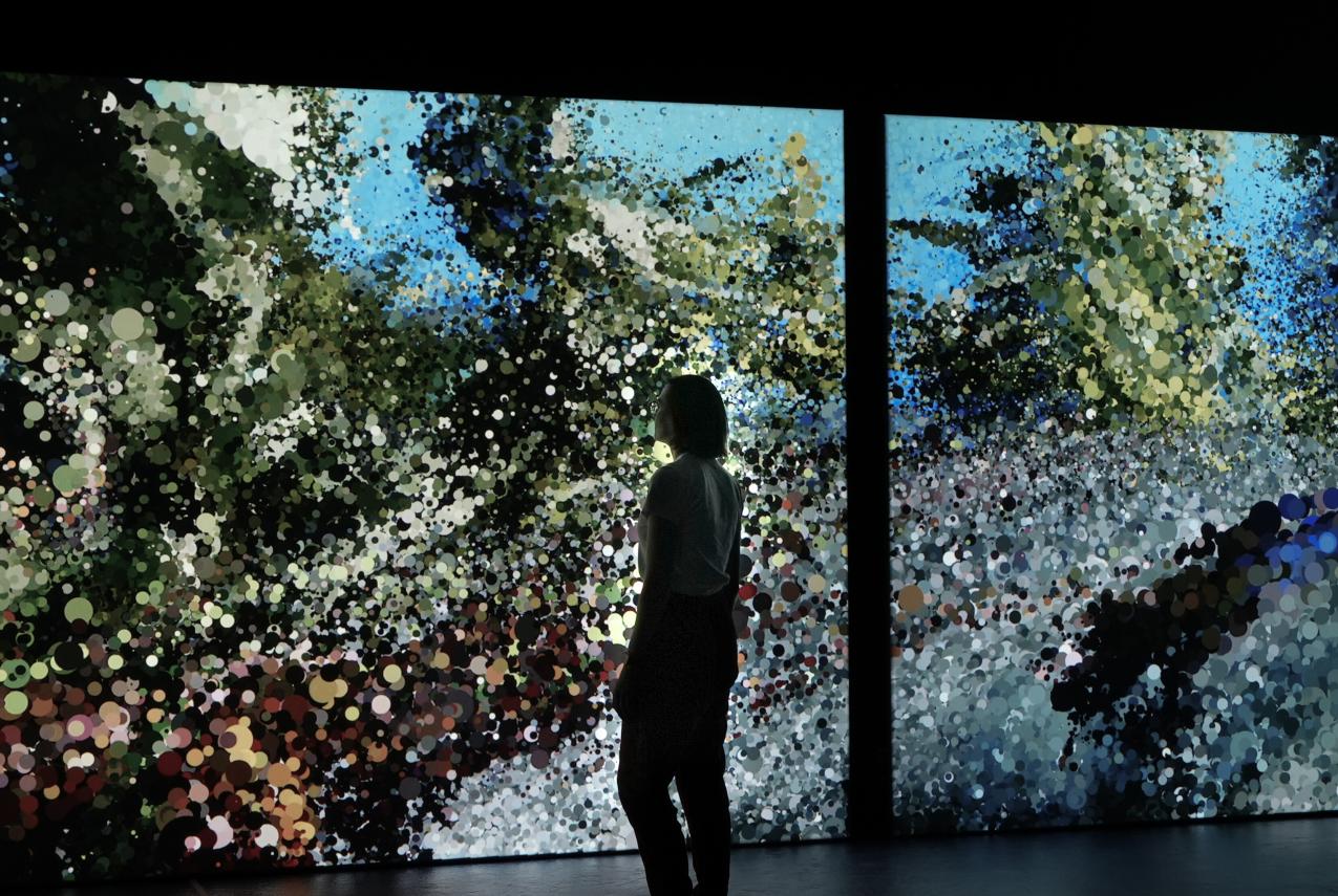 Silhouette of a person looking up at a large screen displaying an artist video of a whale underwater.