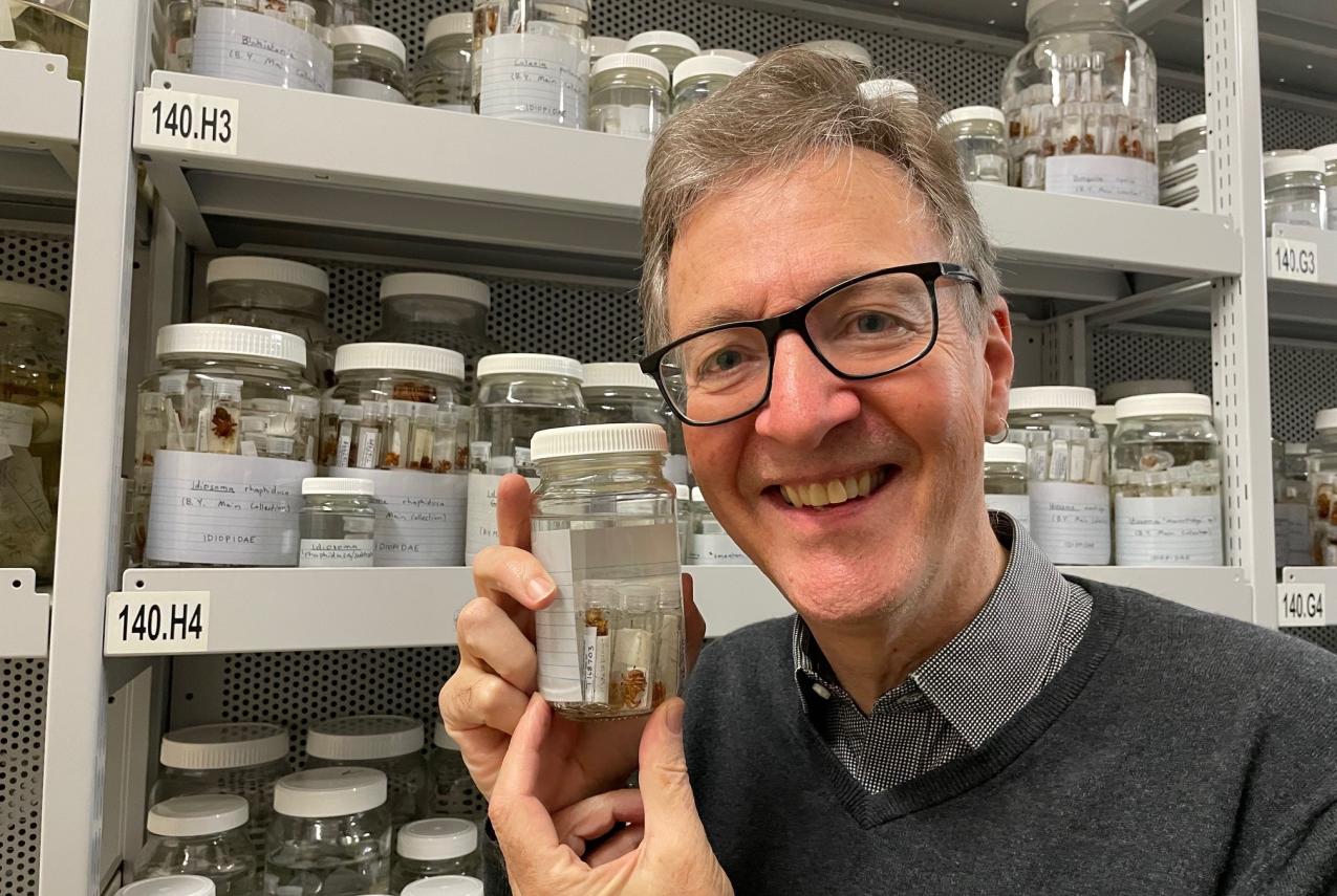 Dr Mark Harvey in WA Museum arachnid collection 