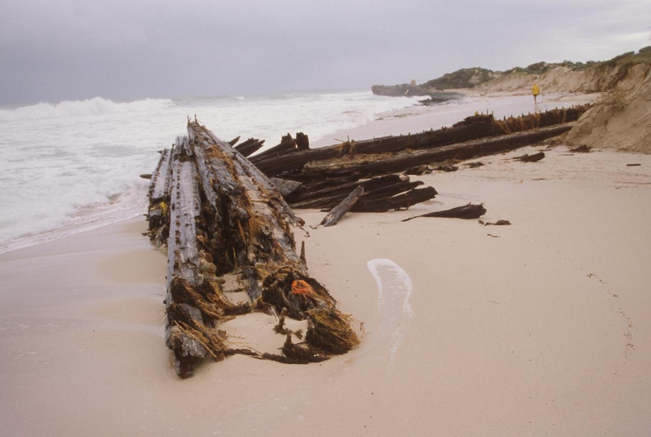 Wooden wreckage of the Alex T Brown on the beach