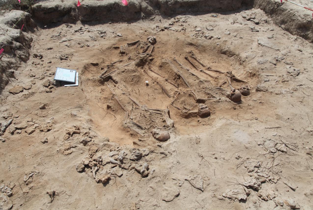 Group burial Beacon Island (2017).