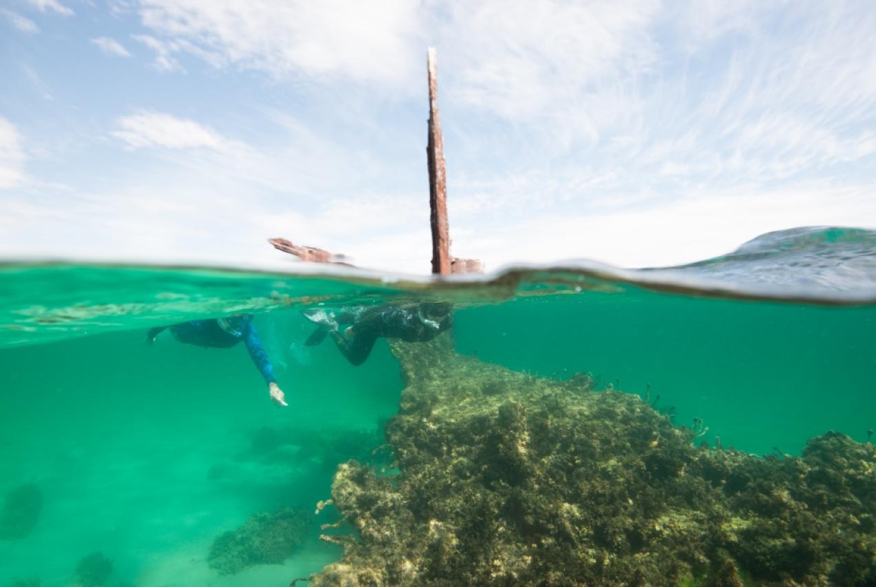 Diving near the Omeo wreck