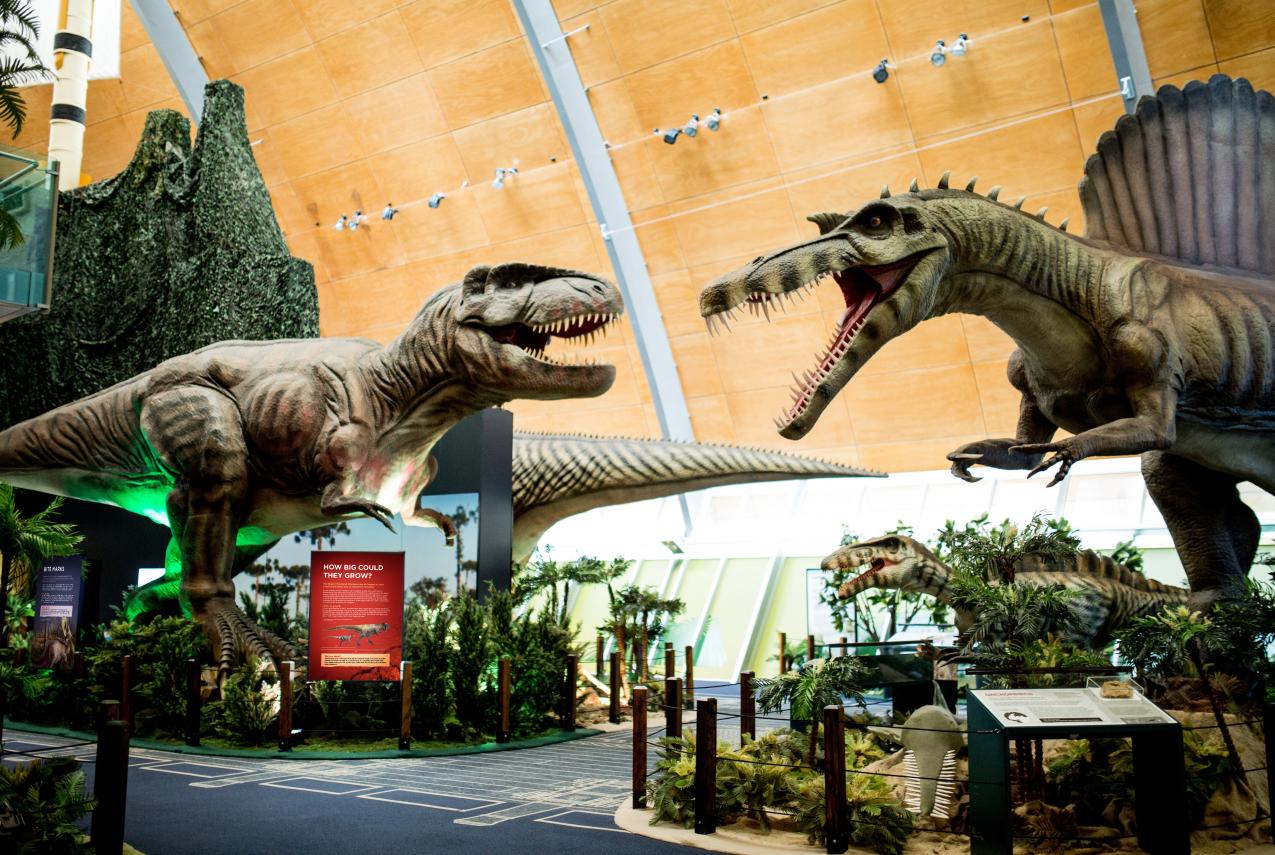 Dinosaur Discovery: Lost Creatures of the Cretaceous exhibition