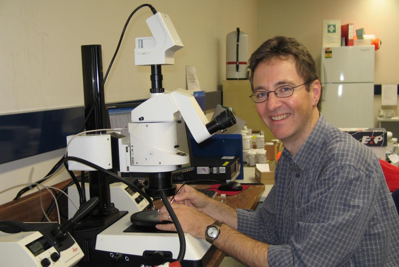 Scientist sitting at a desk near a microscope