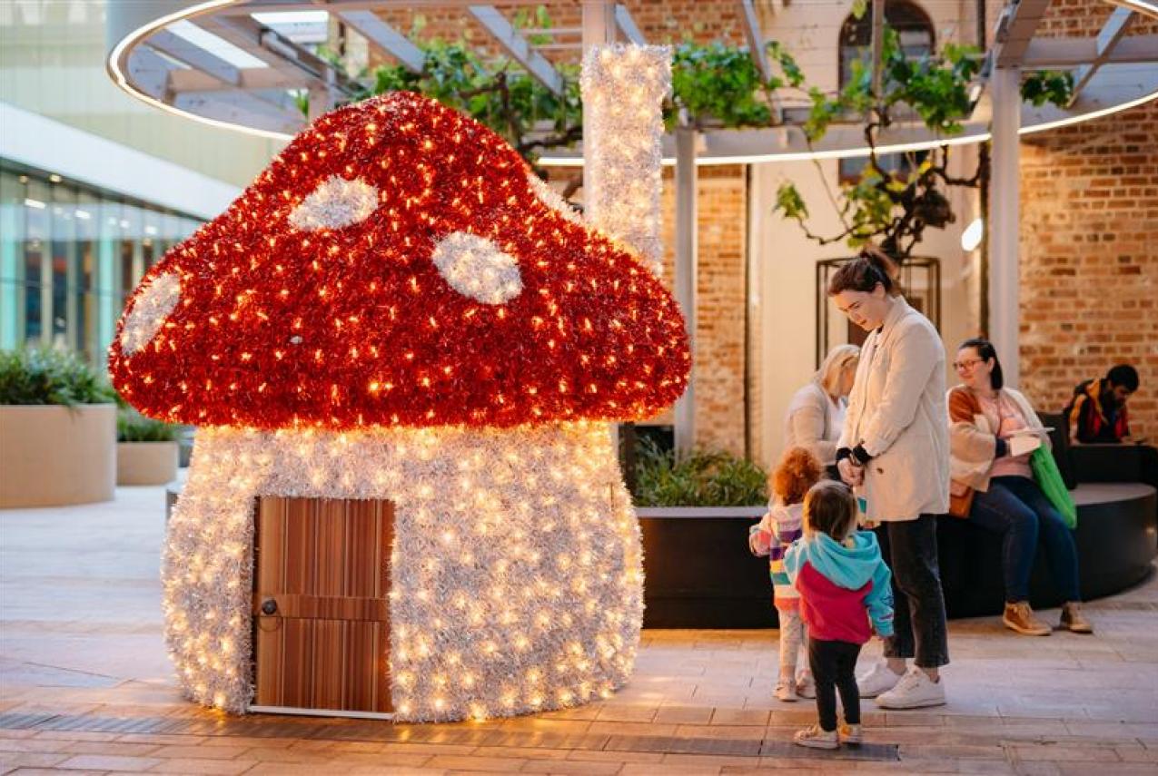 Gnomes Wonderland light up mushroom.