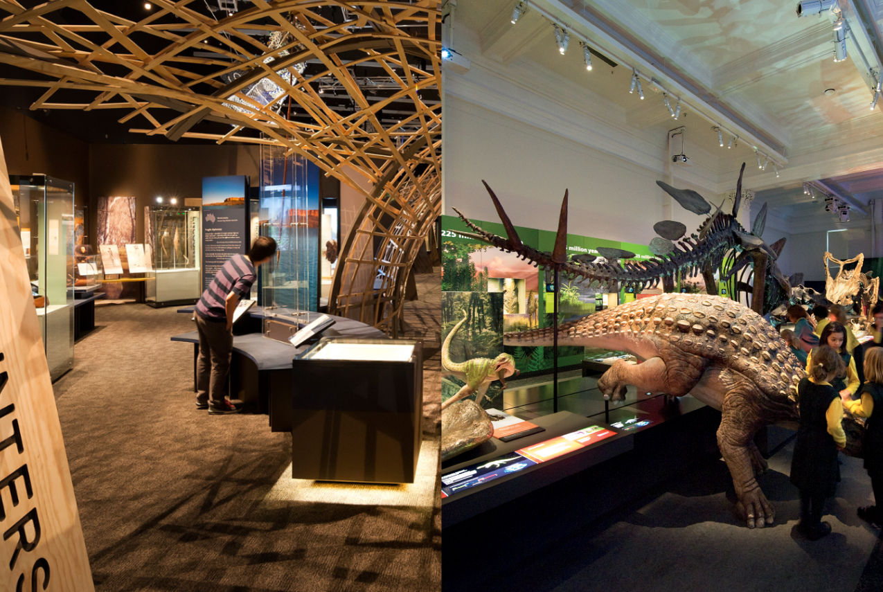 Display from the Encounters exhibition and dinosaur skeletons lit up and on display