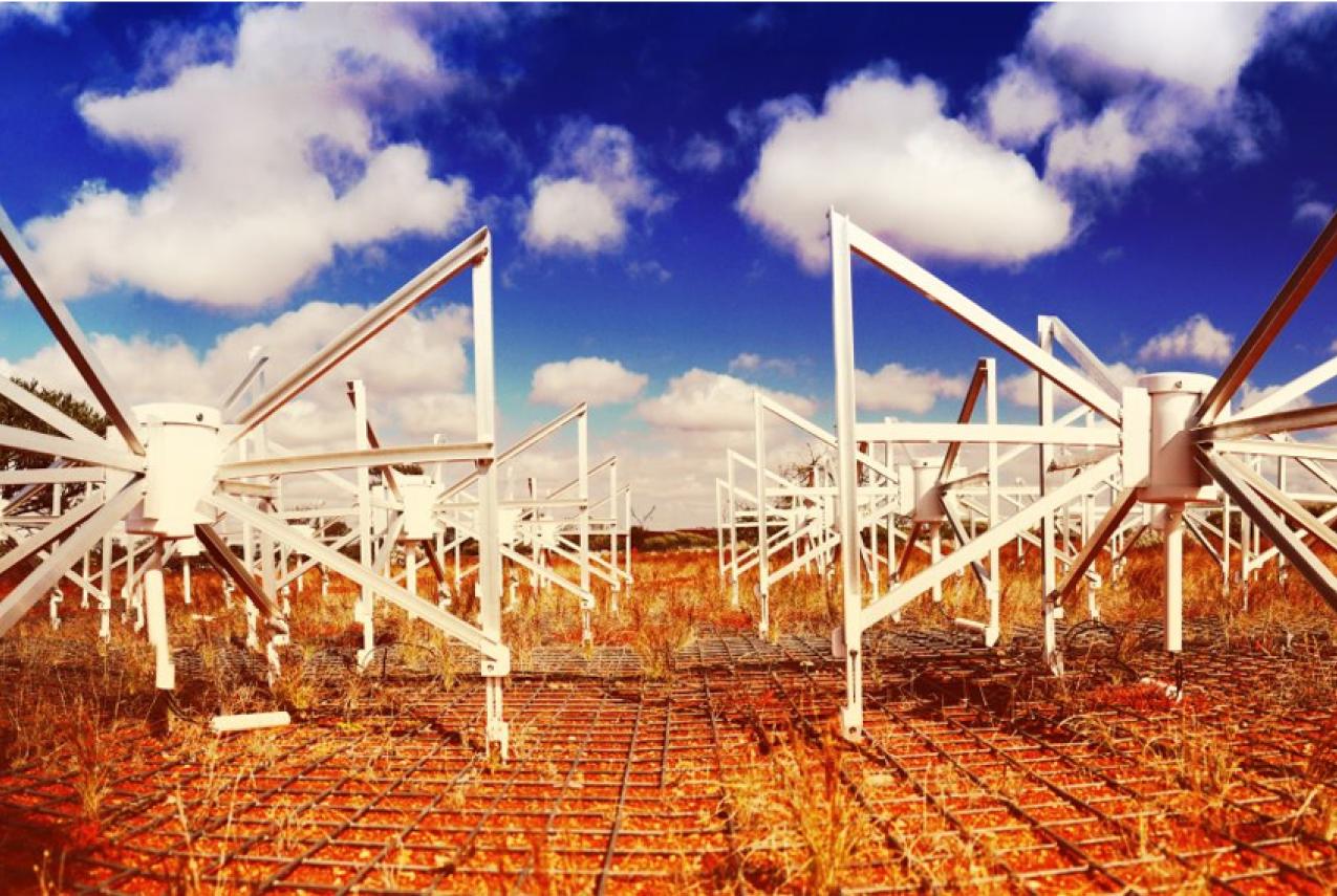 A sample of the Murchison Widefield Array radio telescopes
