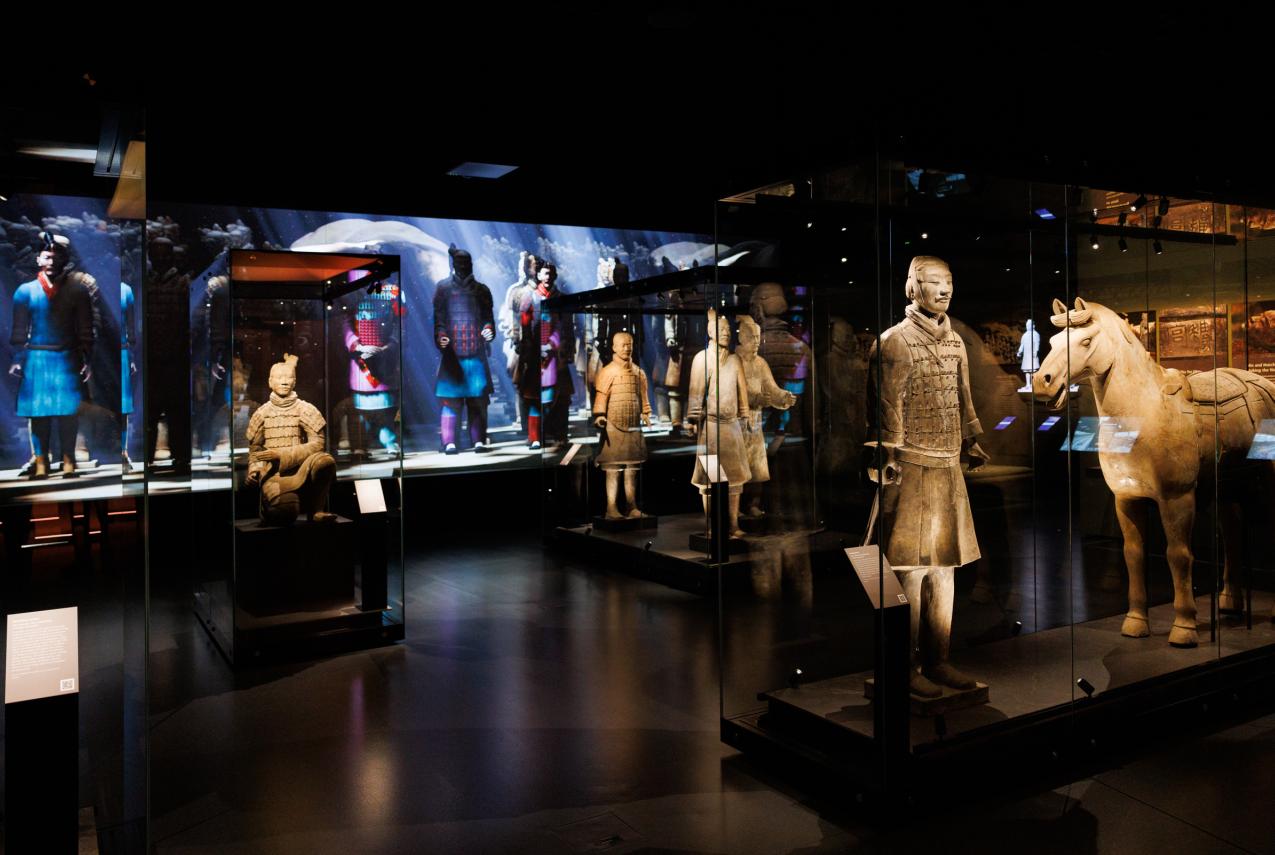 A handful of terracotta warriors encased in glass in a Museum gallery.