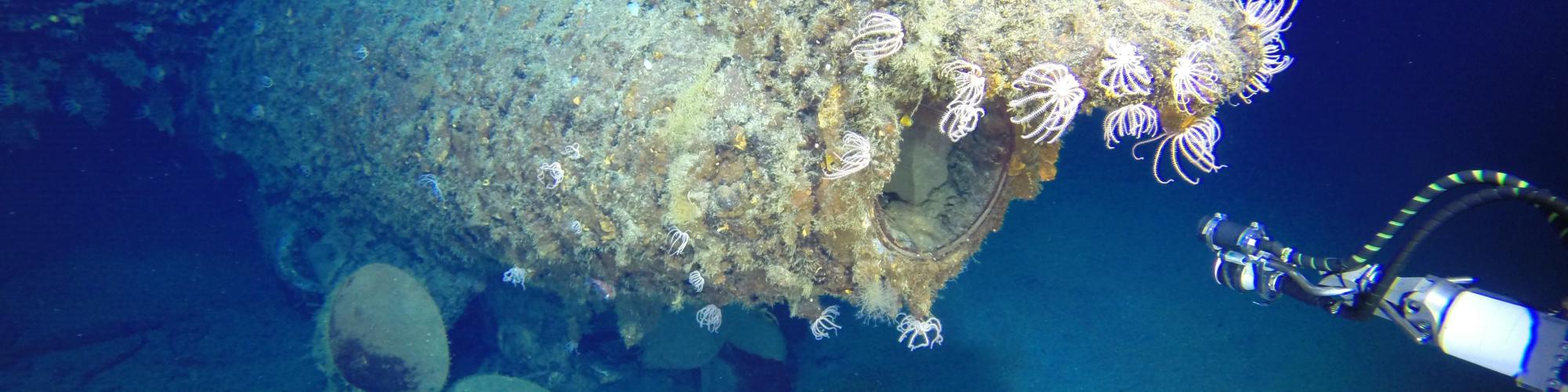 An underwater scene of a sunken wreck