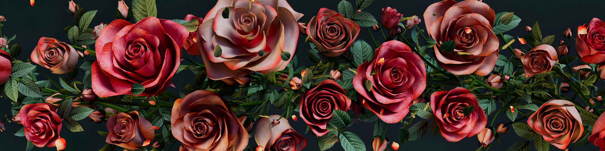 Red and pink toned roses with leaves flourish on a green textured background 