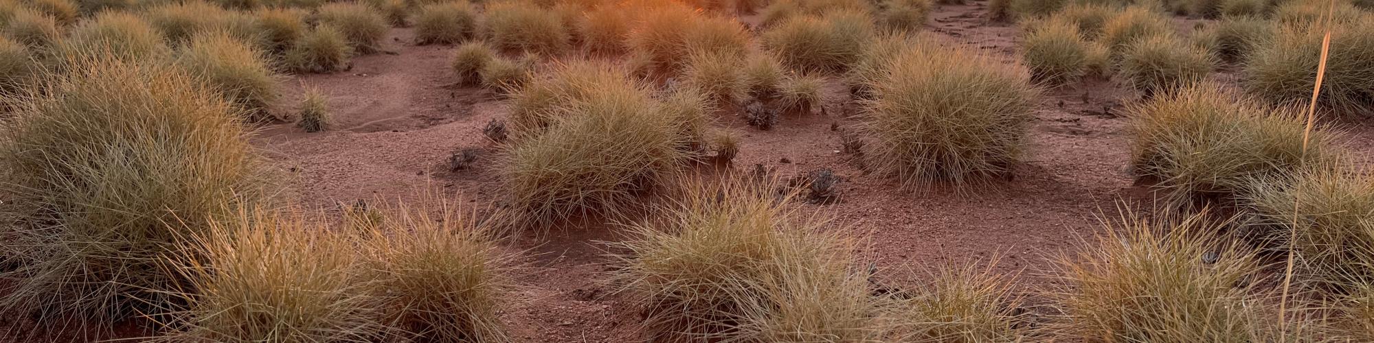 Sunset over Australian outback