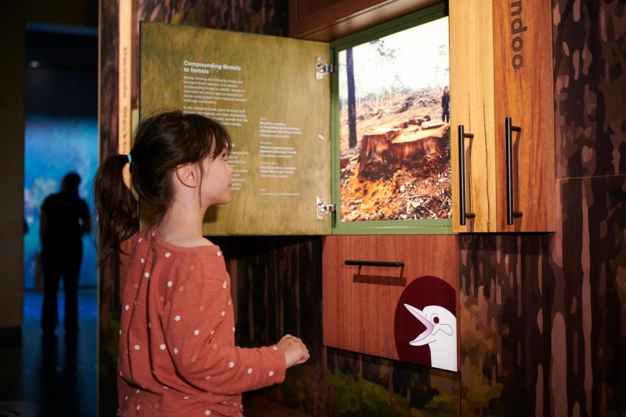 Child looking at an image on the wall of a gallery