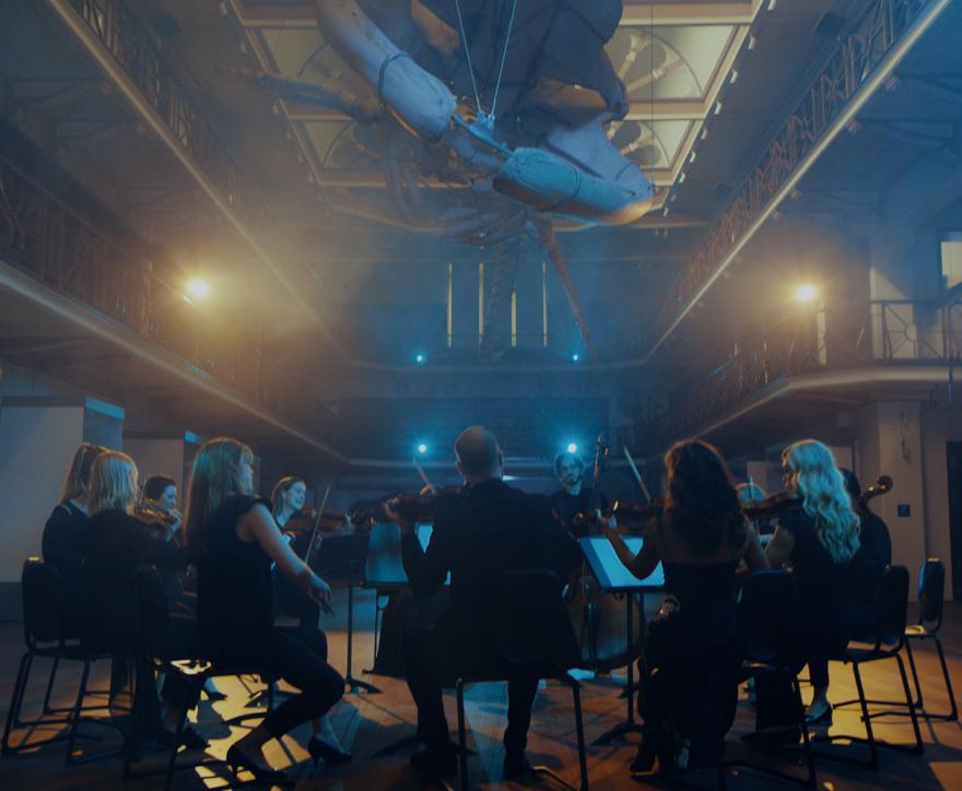 Classical musicians playing underneath the whale skeleton