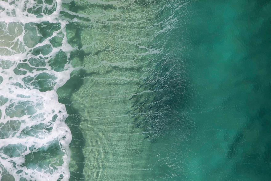 An aerial view of a school of salmon swimming in clear turquoise water