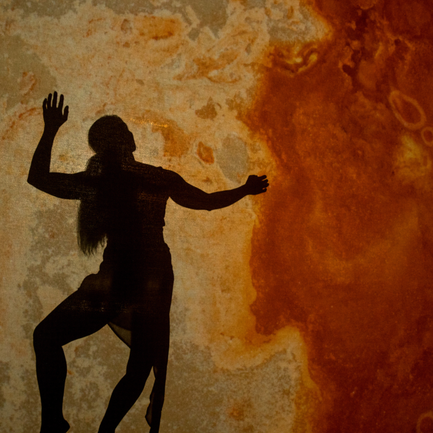 A dancer is silhouetted against a landscape background of yellow and red