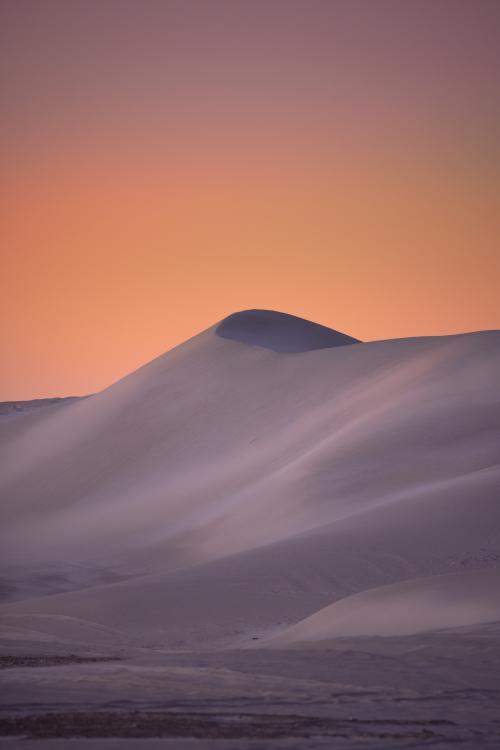 A purple-hued sand dune pictured against a gold and purple sunset