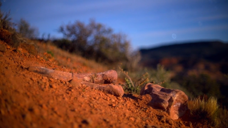 Dinosaur bones lie on a red sandy hill