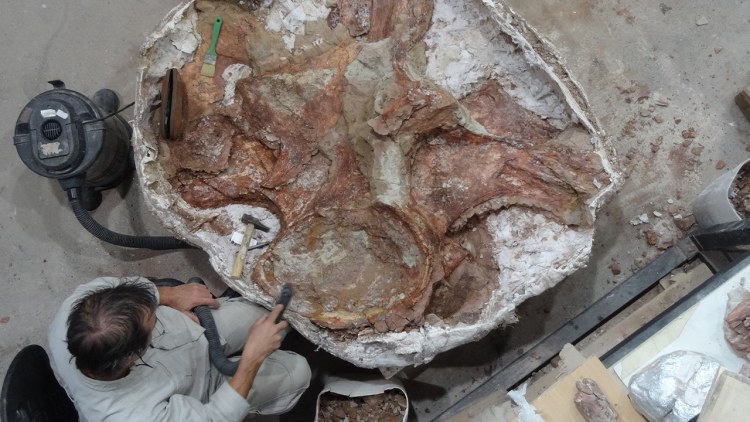 A scientist works on a fossil specimen with a small vacuum and brush