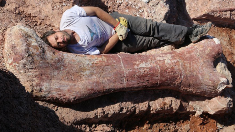 A man lies next to a large dinosaur bone