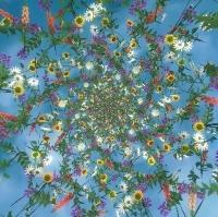 Flowers in a spiral on a blue background