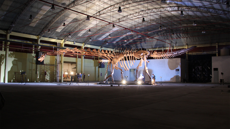 People working in an aircraft hangar are reassembling bones into a huge dinosaur skeleton