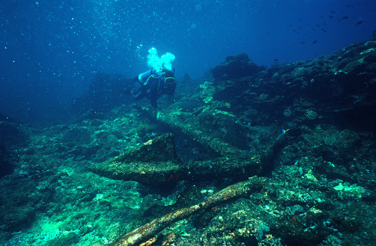 Diver underwater inspecting Trial wreck site