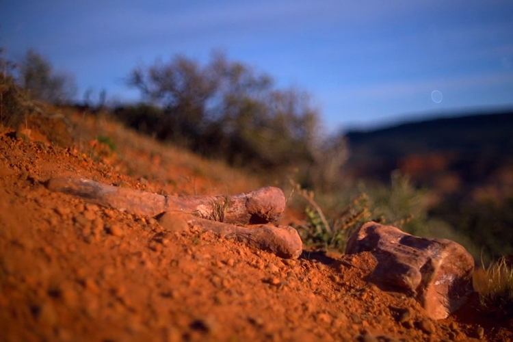 Dinosaur bones lie on a red sandy hill