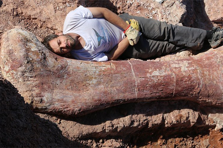 A man lies next to a large dinosaur bone