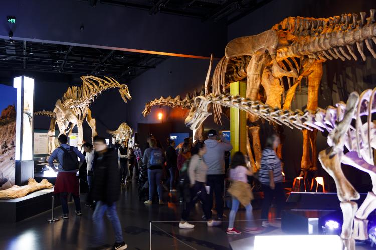 A group of people at a dinosaur exhibition