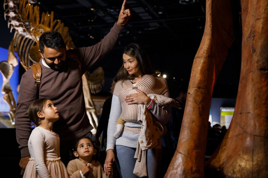 A family looking up at a dinosaur skeleton