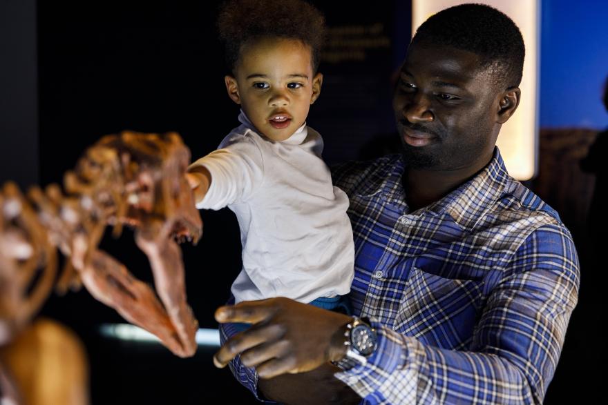 A young child and a person wearing a blue shirt looking at a dinosaur