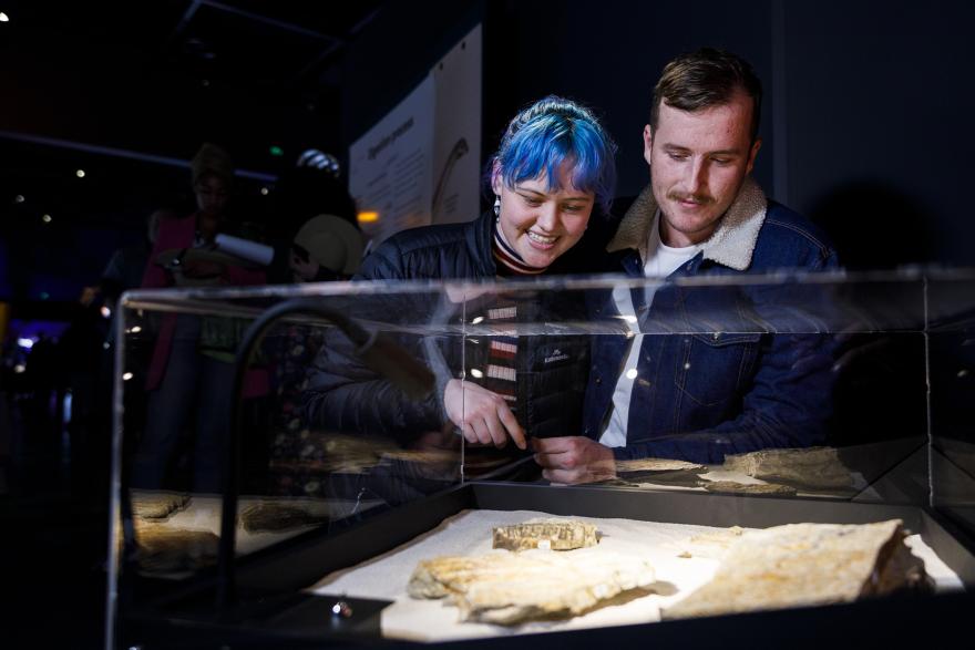 2 people looking at items in a glass case