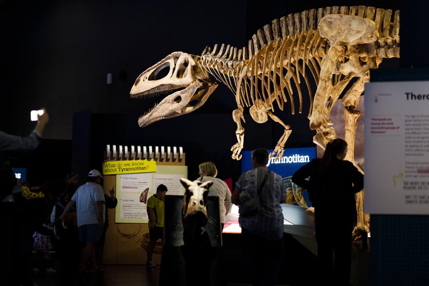 A group of people at a dinosaur exhibition