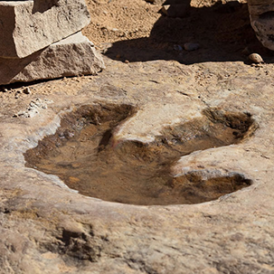 A dinosaur footprint