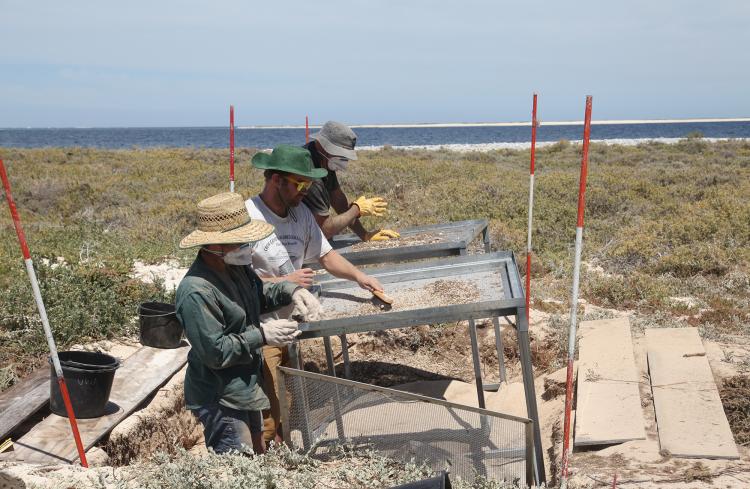 Archaeologists sifting sand at an excavation site near the ocean.