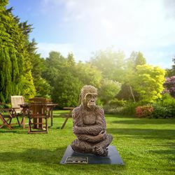 Gorilla