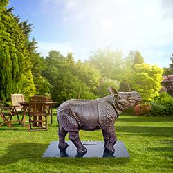 Javan rhino