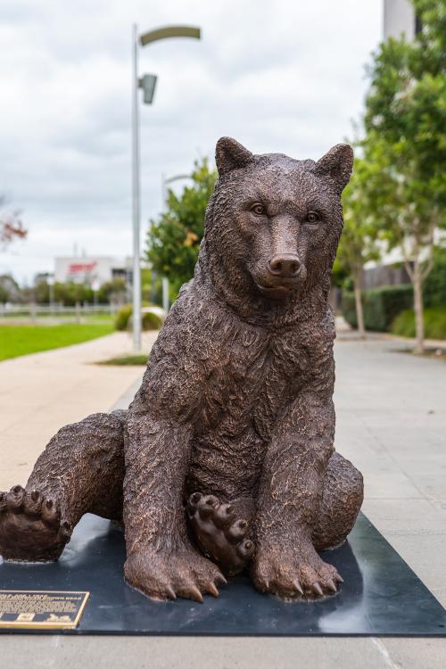 A bronze statue of a baby Marsican brown bear on display