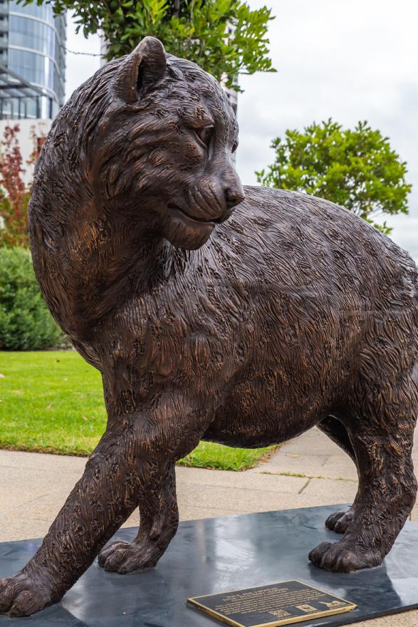 A bronze statue of a baby leopard on display