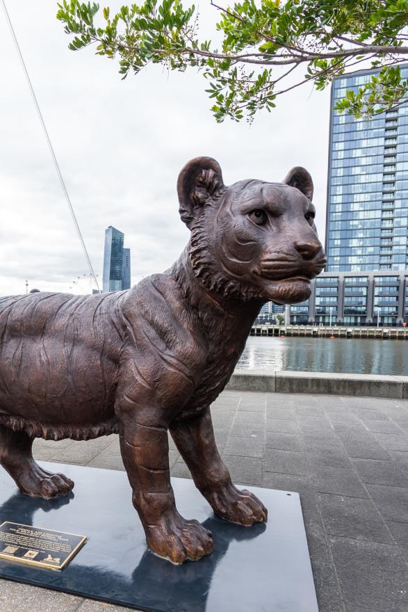 A bronze statue of a baby lion on display