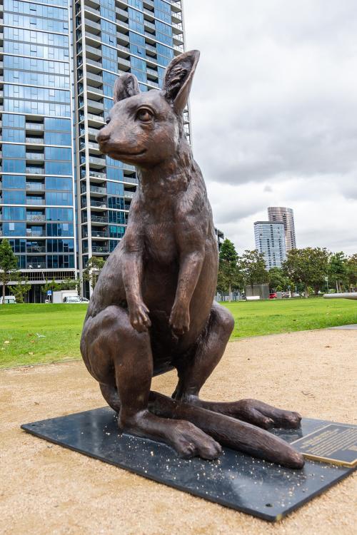 A bronze statue of a baby wallaby on display