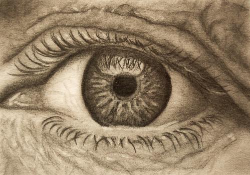A hand sketching of a close up eye demonstrating significant detail in the eyelashes, pupil and surrounding skin