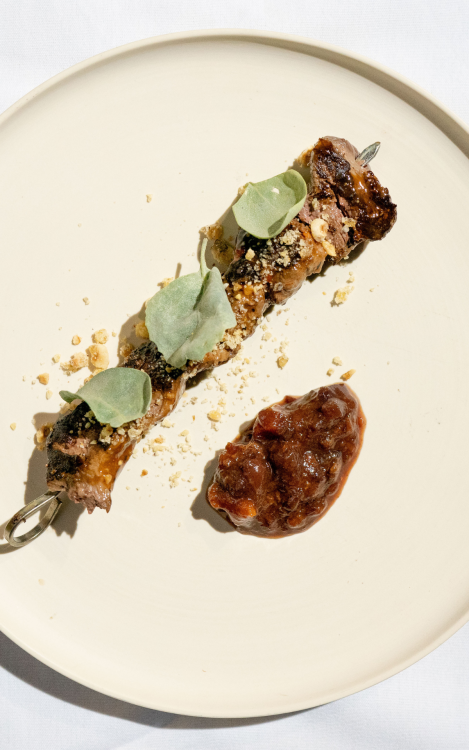 A browned skewer of indeterminate meat plated aesthetically with crushed nuts, leaves and a red relish sauce.
