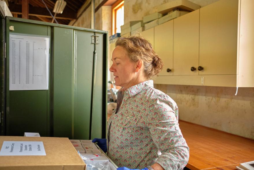 Corioli Souter wears a pink and green patterned button up shirt and blue object handing gloves and stares with concentration as they open a drawer of delicate objects at the Museum's collections storage facility.