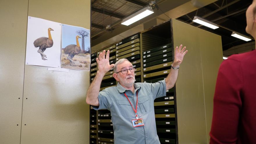 Ron Johnston wears a blue button up shirt and a red lanyard and gestures expressively at an unseen person as though in mid discussion. They stand in a collections facility in an area enclosed by tall thin drawers