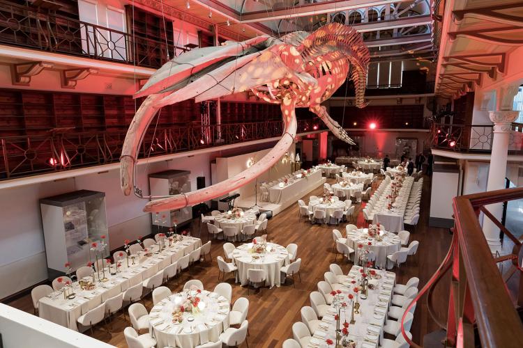A hall set up for a large function below a large hanging whale skeleton