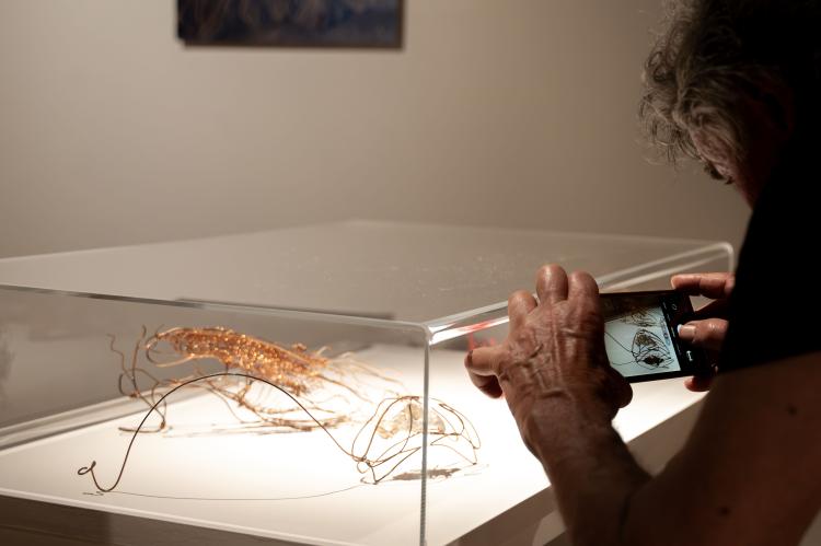 A person leans over a glass showcase containing delicate thin wire structures and takes a picture with their phone.