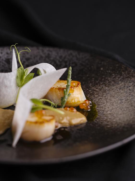 A plate of food, mainly scallops, on a dark plate