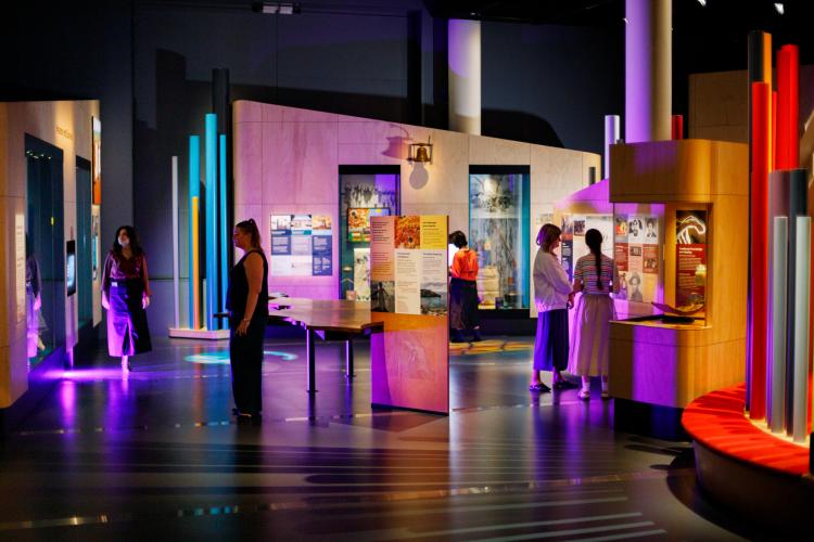 Museum exhibit with people viewing informational displays under colourful lighting.