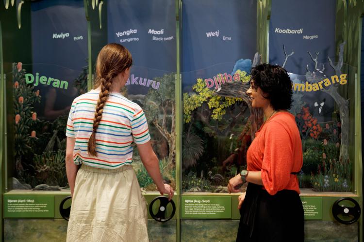 Two individuals standing in front of an educational display with illustrated panels depicting different seasons and animals.