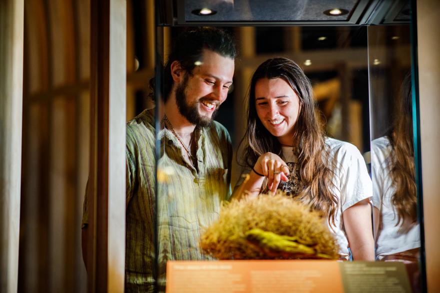 Two people looking at an exhibit inside a glass display case.